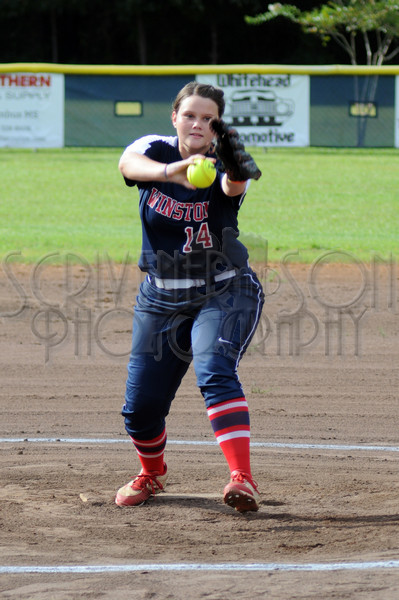 8-17 WA vs. HA 008.JPG - SCRIVENER D300